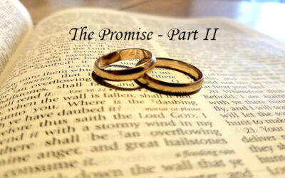 The Promise – Resource for Renewal