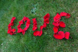 love petals 