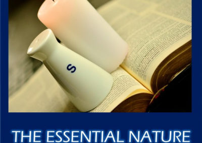 Cover Image Essential Nature of the Church Mod 1