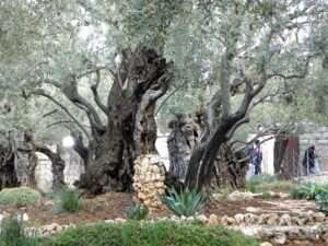 Gethsemane