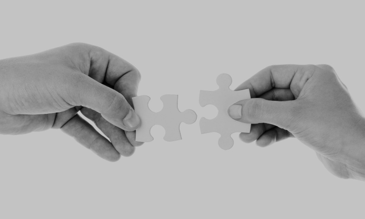 puzzle pieces - connections