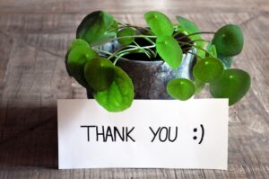 Thankful to the Giver