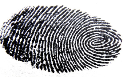 Christian Identity: A Journey Of Discovery