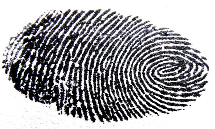 fingerprint - Christian Identity