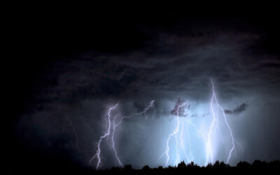 Life’s Storms – A Survival Guide